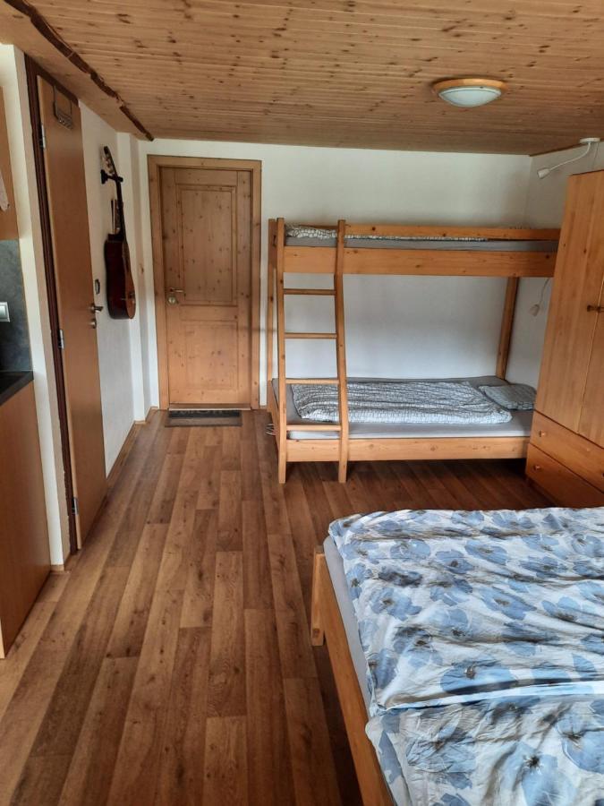 Spicak - U Barabu Appartement Železná Ruda Buitenkant foto