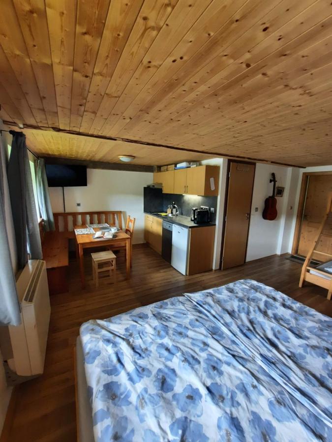 Spicak - U Barabu Appartement Železná Ruda Buitenkant foto